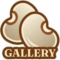 GALLERY GALLERY